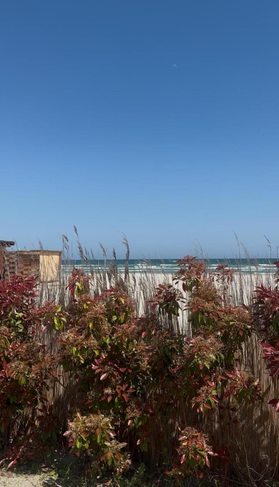 Sea View Luxury Apartament Navodari Dış mekan fotoğraf
